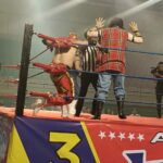 lucha libre (3)